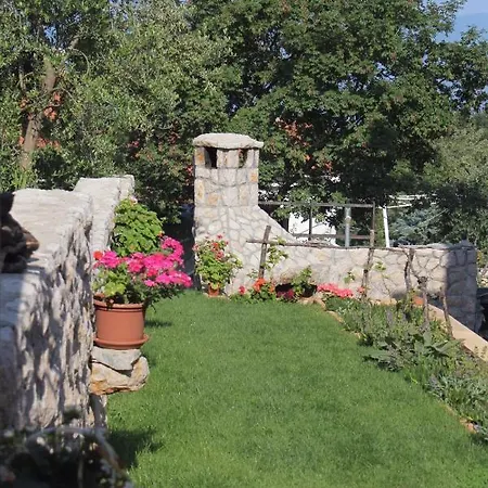 5458c Njivice